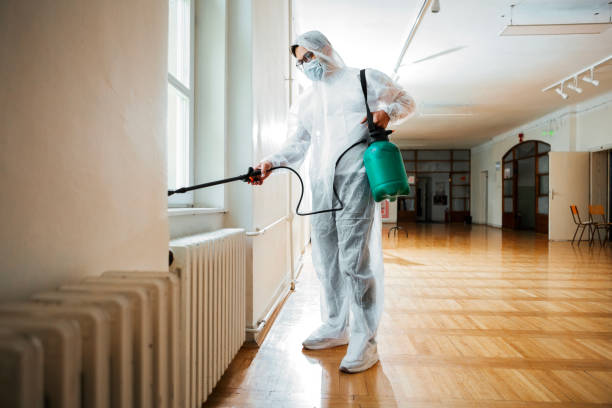 Best Fumigation Services  in Murphy, MO